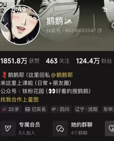 抖音[鹅鹅]铁粉空间视图资源合集网盘全套资源打包